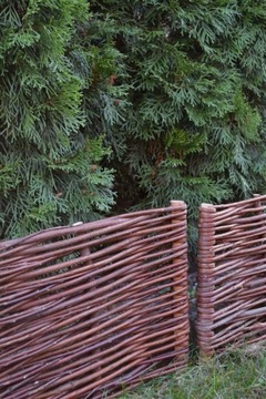 Плетеный частокол H20 - Плетеный забор L60