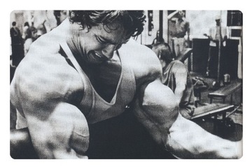 Magnes Arnold Schwarzenegger siłownia motywacja