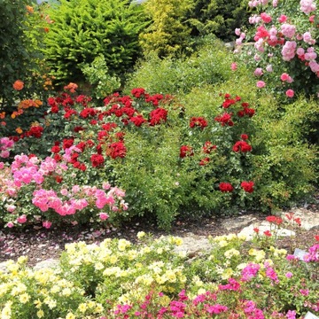 БАЗАЛЬТОВЫЙ ШРОТ 10КГ УДОБРЕНИЕ ДЛЯ ВЕСЕННИХ ТРАВ, ГИДРЕНЗИОННЫХ ЦВЕТОВ, ПОМИДОРОВ