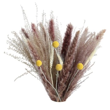 Сельская деревенская натуральная сушеная пампасная трава, тростниковый цветок, букет B