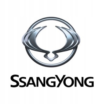 Крышки клапанов SSANGYONG BLACK