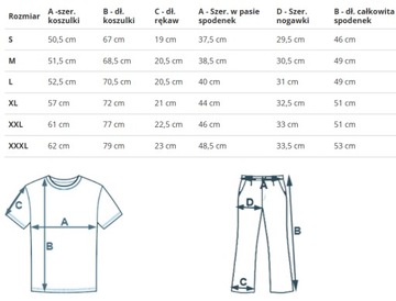 U.S. POLO ASSN. - MĘSKI KOMPLET KOSZULKA I SZORTY KURT 132 66291 49351 503