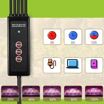 НАБОР 5 X МИНИ-ТЕПЛИЦЫ МИНИ-ТЕПЛИЦЫ НАБОР ПОСАДОВ ДЛЯ ТЕПЛИЦЫ