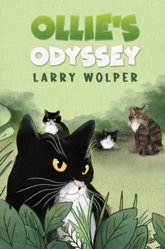 Ollie's Odyssey - Wolper, Larry EBOOK