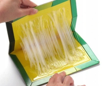 10x MYSZOŁAPKA LEP ŁAPKA PUŁAPKA NA MYSZY KLEJOWA