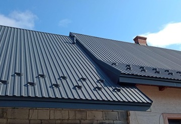 СНЕЖНЫЕ РАЗРЫВЫ СНЕЖНЫЕ ПРОМЕЖУТКИ ДЛЯ ЦВЕТОВ ТРАПЕЦЕИДАЛЬНЫХ ЛИСТОВ