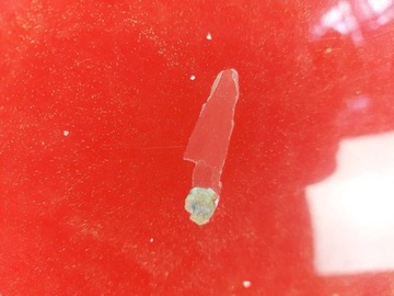 KAPOTA KRYT VÍKO KUFRU MOTORU SAAB 9-5 95 I (YS3E) FACELIFT