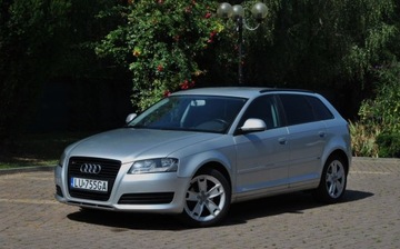 Audi 2009 Audi A3 Sportback GWARANCJA,1.9 TDI, 2 Komplety kol, Dobre wyposazenie, La