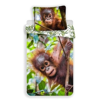 Pościel bawełniana 140x200 Orangutan 7257 wesoła małpka liście palmy poszew