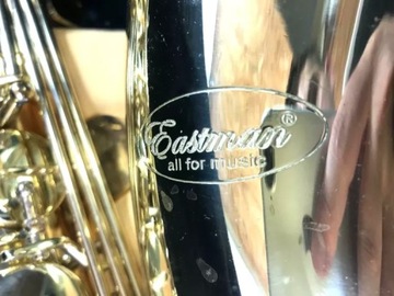 ЧЕХОЛ ДЛЯ САКСОФОНА EASTMAN ETS-601