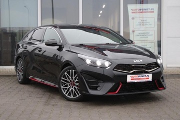 Kia Proceed Shooting Brake Facelifting 1.6 T-GDI 204KM 2023 KIA pro_cee&#039;d GT, zdjęcie 7