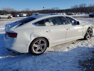 Audi A5 F5 2021 Audi a5 Premium Plus 45 2021 2.0l 2.0 Benzyna 261KM, zdjęcie 3