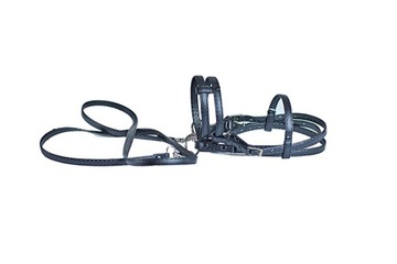 Английская уздечка - ЧЕРНАЯ - Упряжь для лошадей-любителей