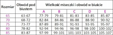 Biustonosz HENDERSON RAFF bardotka odpinane RAMIĄCZKA 80E