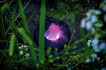 Pontec PondoFog RGB LED генератор тумана