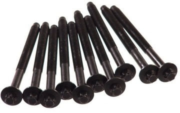 SRUBY GŁOWICY C/P 1.4/1.6HDI 10SZT.