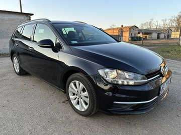 Volkswagen Golf VII Variant Facelifting 1.6 TDI-CR DPF BMT 115KM 2019 Volkswagen Golf VII 1,6 TDI 116 KM Niski Przebieg, zdjęcie 12