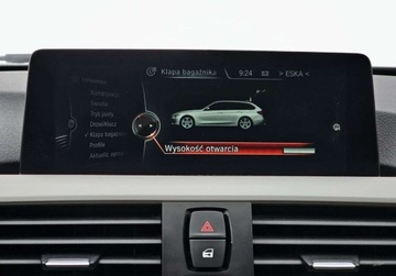 BMW Seria 3 F30-F31-F34 Touring Facelifting 2.0 320d EfficientDynamics Edition 163KM 2016 BMW Seria 3 Automat Podgrzewane Fotele Skory Navi Nowy rozrzad Grupa Adamo, zdjęcie 22