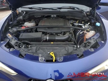 Alfa Romeo Stelvio SUV Facelifting 2.0 Turbo 280KM 2021 Alfa Romeo Stelvio _SPORT_2.0 L_280 km_4x4_2021r 2.0 Benzyna 280KM, zdjęcie 11