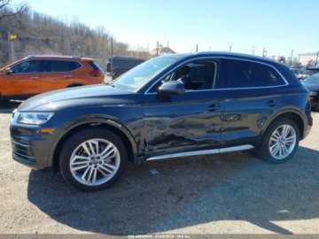 Audi Q5 II 2020 Audi Q5 Premium Plus 45 Tfsi Quattro S Tronic 2020 2.0 Benzyna 248KM, zdjęcie 1