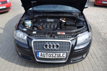 Audi A3 8P Hatchback 3d 1.9 TDI 105KM 2007 Audi A3 Sportback 1.9 TDI, Zarejestrowany, 5-drzwi, Klimatronik, Oplacony,, zdjęcie 13