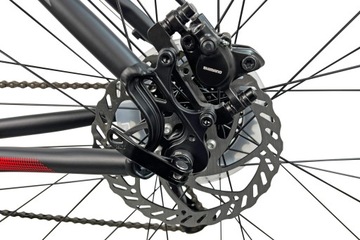 Мужской горный велосипед INDIANA X-Pulser 2.9 29 дюймов