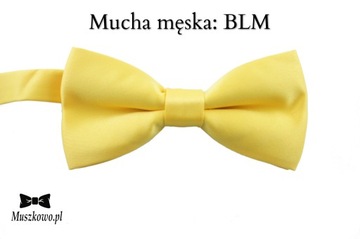 Подтяжки RAINBOW и галстук-бабочка с разноцветными полосками, регулируемые.