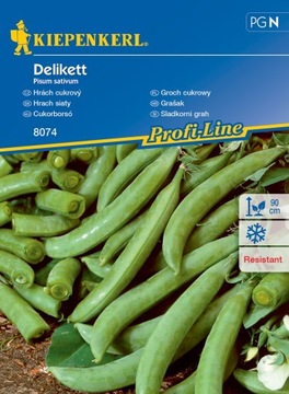 Kiepenkerl Groch Groszek cukrowy Delikett 8074