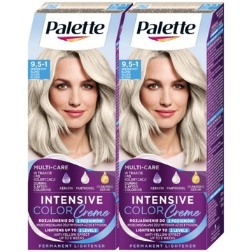 Palette Farba włosów C9 (9,5-1) SrebrzystyBlond x2