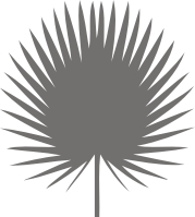 Отражения на одежде, Термопереводки, Узор «Листья», 5 шт.