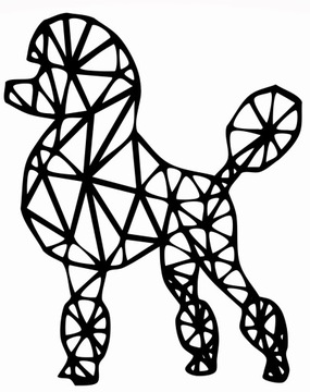 PUDEL GEOMETRYCZNY dekoracja ścienna obraz 60cm