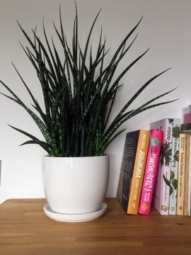 КЕРАМИЧЕСКИЙ ЦВЕТОЧНЫЙ ГОРШОК НА ПОДСТАВКЕ 13см, БЕЛЫЙ