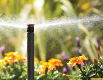 Разбрызгиватель Rain Bird 1804 Статический всплывающий