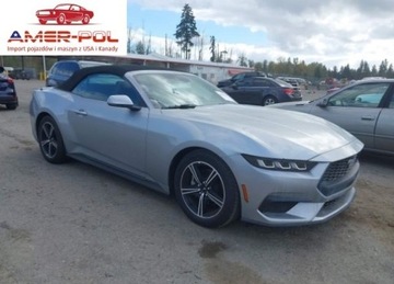 Ford Mustang VI 2024 Ford Mustang 2024 2.3l 2.3 Benzyna 315KM