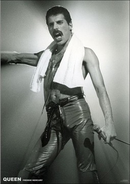 Queen Freddie Mercury Koncert - plakat 59,5x84 cm