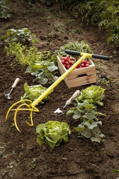 Ручной культиватор Удаляет сорняки Рыхлитель почвы Сад Фруктовый аэратор