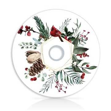 DVD na Boże Narodzenie Zimowy Gil