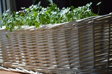 Плетеный вазон COVER ECRU WIKLIN Кормушка