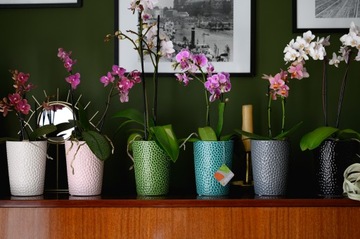 Osłonka Doniczka Ceramiczna Orchid 13x15 cm biała