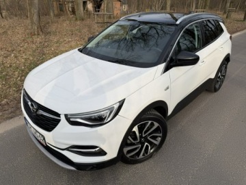 Opel 2019 Opel Grandland X 2.0 CDTI 177 KM Max Opcja Ful Led, zdjęcie 1