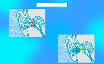 SANOHRA Беруши для плавания в бассейне, беруши для воды для плавания