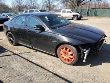 Jaguar XF II 2024 Jaguar XF R-Dynamic SE 2024 2.0l 2.0 Benzyna 296KM, zdjęcie 4