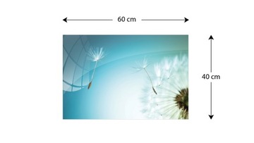 Магнитная стеклянная доска Одуванчик 60х40см
