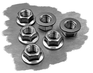 M6 A2 ГАЙКА ФЛАНЕЦ ИЗ НЕРЖАВЕЮЩЕЙ НЕРЖАВЕЮЩЕЙ, ГЛАДКАЯ 6923 (10)