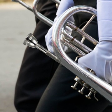 USTNIK DO PUZONU POSREBRZANY, PRZYSTĘPNY CENOWO, STUDENCKI ALT