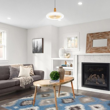 Вентилятор с дистанционным управлением Ga-Light