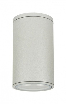 Накладной серебряный террасный точечный светильник ADELA