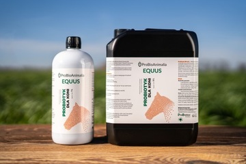 EQUUS - Микроорганический пробиотик для лошадей - 5л
