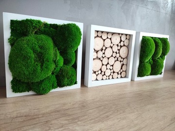 Триптих из мха и кусочков дерева, 27х27 см.