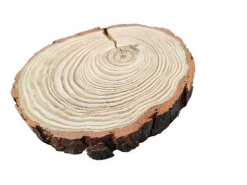 Кусочки деревянного бруска, сосновый диск, отшлифованные насухо, 8-12 см.